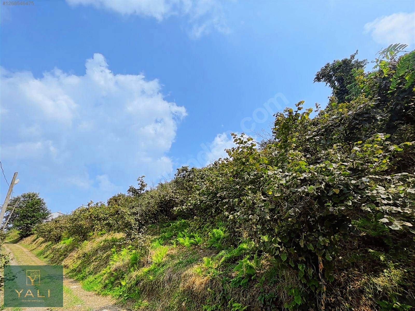 GİRESUN MERKEZ YALIKÖY MEVKİİ SATILIK ARAZİ - GİRESUN MERKEZ fotoğraf 3